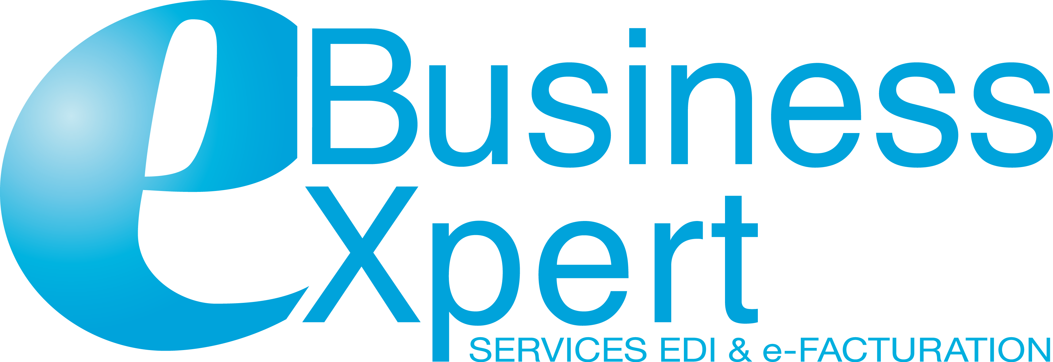E-business Expert